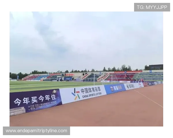 中国体育彩票竞猜网站有哪些优质平台及其特色功能全面比较分析