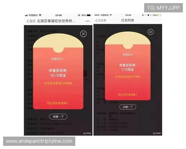 买球到底能不能赚钱？专家分析世界杯投注的盈利可能性与风险控制策略